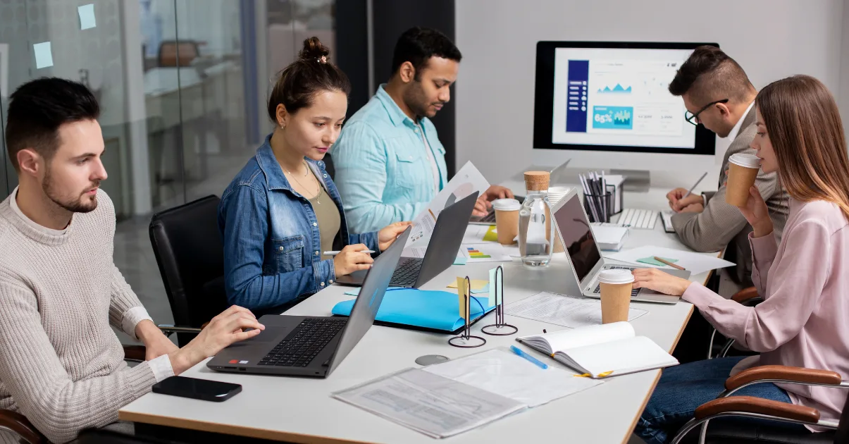 about Design Dev SEO