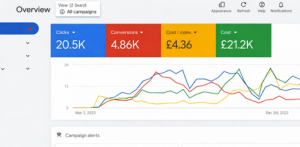 Google Ads Campaign Performance