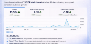 YouTube Ads Video Promotion