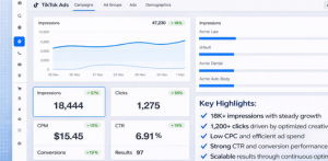 Strategic TikTok Ads Growth